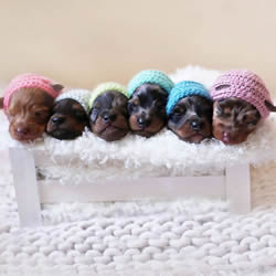 治愈系图片_DIY手工制作大全_手艺活网