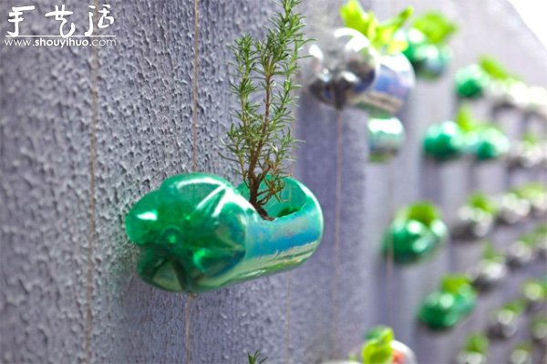 DIY墙上的垂直塑料瓶花园 -  www.shouyihuo.com