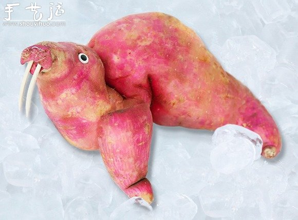 蔬菜DIY的有趣动物 -  www.shouyihuo.com