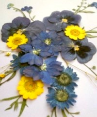 押花手工DIY方法 -  www.shouyihuo.com