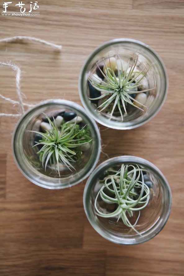 玻璃罐子DIY悬挂的小清新盆栽 -  www.shouyihuo.com