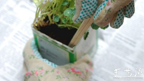 如何移栽花草 花草移植的方法 -  www.shouyihuo.com