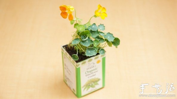 如何移栽花草 花草移植的方法 -  www.shouyihuo.com