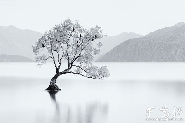 黑白摄影作品欣赏：《黑&白》 -  www.shouyihuo.com