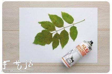 植物图案装饰画创意DIY -  www.shouyihuo.com