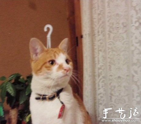 抓拍生活中的搞笑瞬间！ -  www.shouyihuo.com