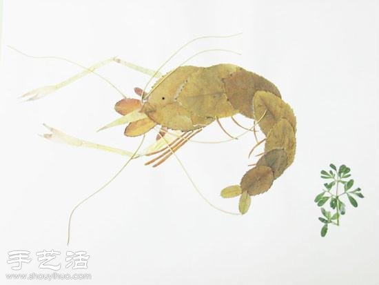 树叶+创意 手工制作有趣的拼贴画 -  www.shouyihuo.com