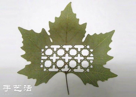融合中国剪纸及雕花工艺的树叶雕刻 -  www.shouyihuo.com