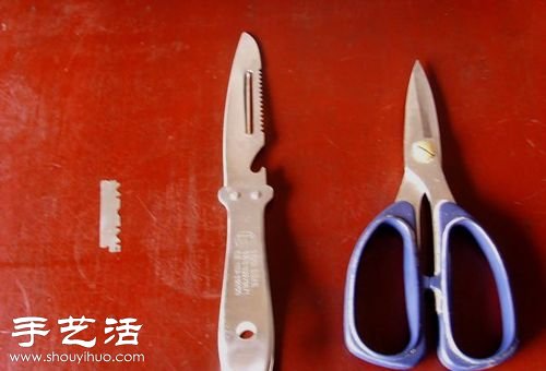 如何嫁接仙人球 仙人球嫁接步骤 -  www.shouyihuo.com