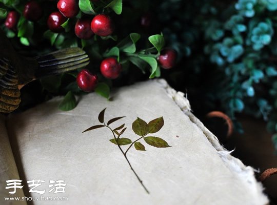 押花艺术DIY“植物百科全书” - www.shouyihuo.com