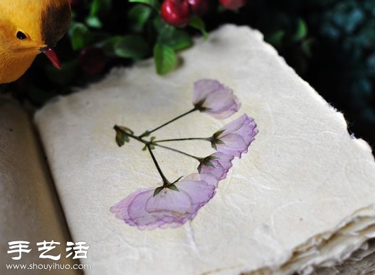 押花艺术DIY“植物百科全书” - www.shouyihuo.com