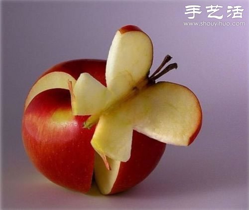 有趣的食物创意手工DIY大全 -  www.shouyihuo.com