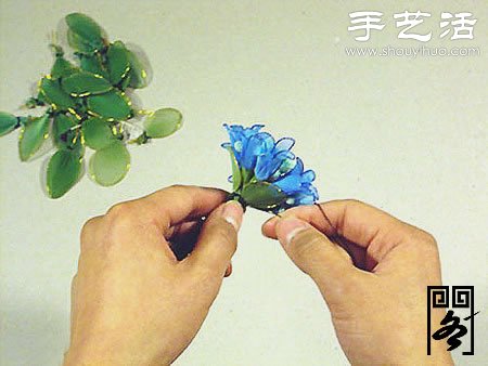丝袜花矢车草的制作方法 -  www.shouyihuo.com
