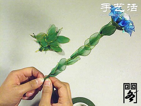 丝袜花矢车草的制作方法 -  www.shouyihuo.com