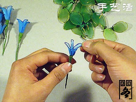 丝袜花矢车草的制作方法 -  www.shouyihuo.com