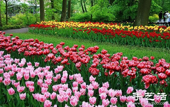 春季最美的花园——库肯霍夫公园 -  www.shouyihuo.com