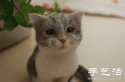 超萌的手工制作羊毛毡猫咪玩偶 -  www.shouyihuo.com