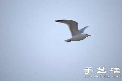自己动手给长镜头DIY瞄准器 -  www.shouyihuo.com