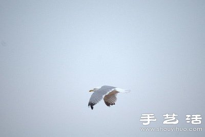 自己动手给长镜头DIY瞄准器 -  www.shouyihuo.com