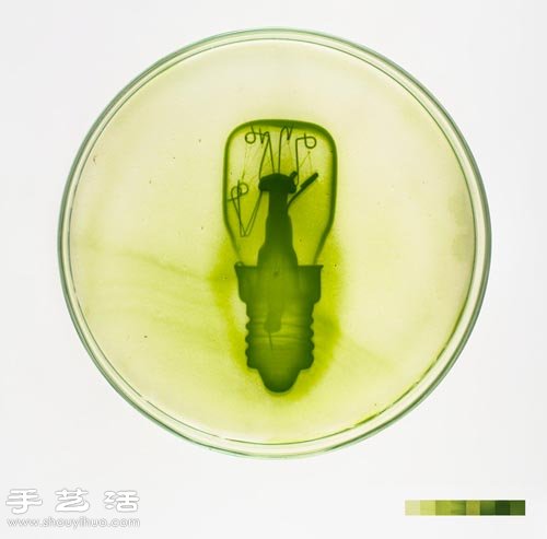 利用藻类微生物DIY制作创意海藻画 -  www.shouyihuo.com