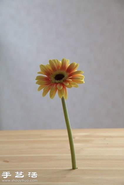 简单玻璃瓶废物利用 创意制作桌面花卉装饰 -  www.shouyihuo.com