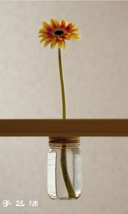 简单玻璃瓶废物利用 创意制作桌面花卉装饰 -  www.shouyihuo.com
