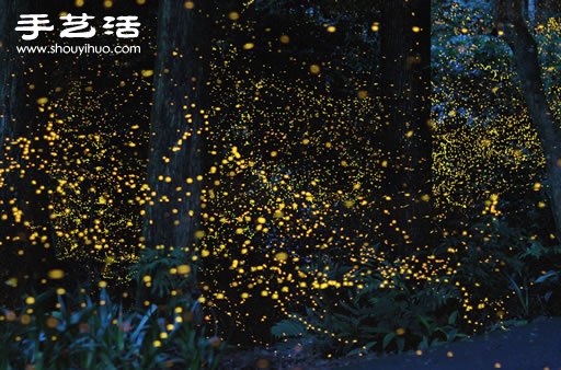 日本摄影师宫武健仁震撼的大自然风景摄影 -  www.shouyihuo.com