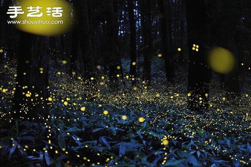 日本摄影师宫武健仁震撼的大自然风景摄影 -  www.shouyihuo.com