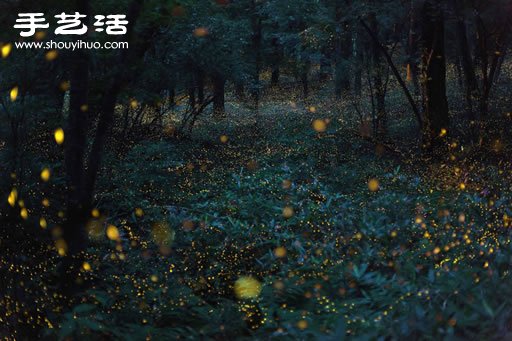 日本摄影师宫武健仁震撼的大自然风景摄影 -  www.shouyihuo.com