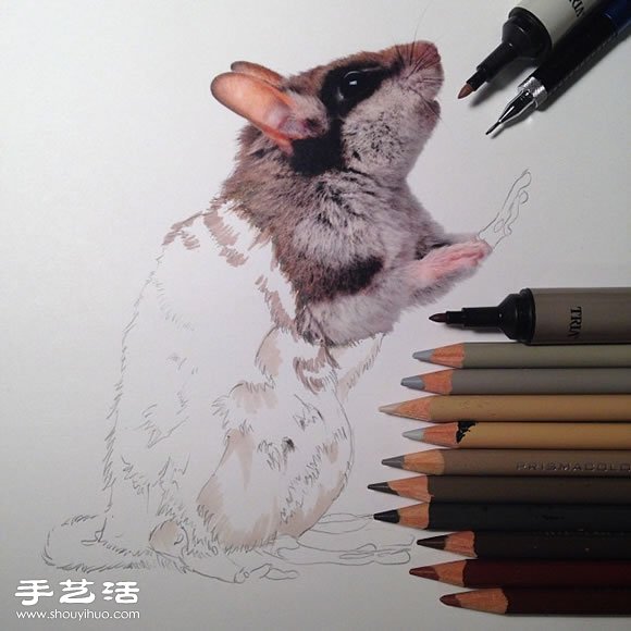 普通画笔手绘出栩栩如生的动物画作 - www.shouyihuo.com