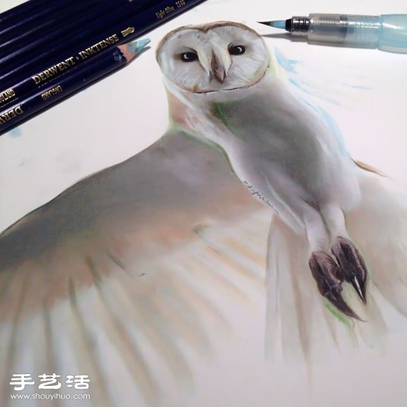 普通画笔手绘出栩栩如生的动物画作 - www.shouyihuo.com