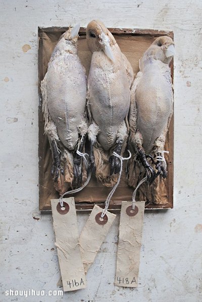 Mister Finch 的布艺手工艺术品欣赏 -  www.shouyihuo.com