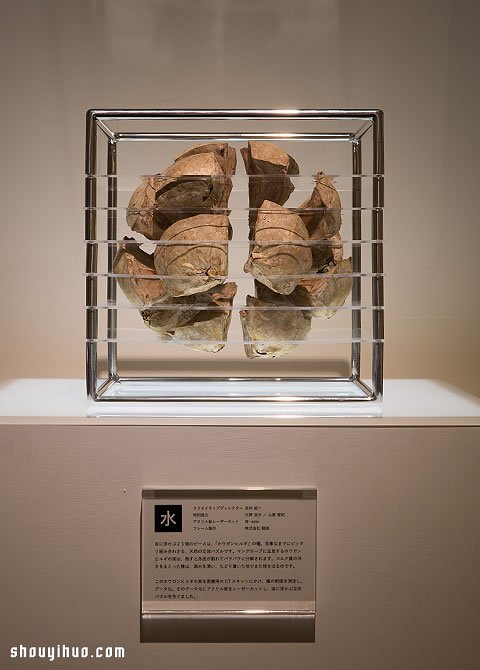 立方块里的治愈宇宙 京都植物标本作品展览 - www.shouyihuo.com