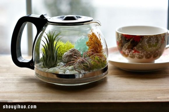 DIY盆栽设计 手工制作咖啡壶里的植物世界 -  www.shouyihuo.com