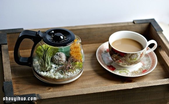 DIY盆栽设计 手工制作咖啡壶里的植物世界 -  www.shouyihuo.com