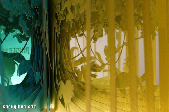 Yusuke Oono 缕空纸雕书作品欣赏 -  www.shouyihuo.com