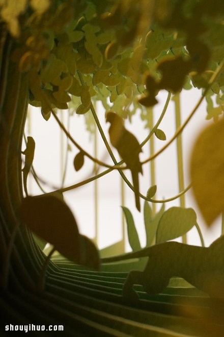Yusuke Oono 缕空纸雕书作品欣赏 -  www.shouyihuo.com