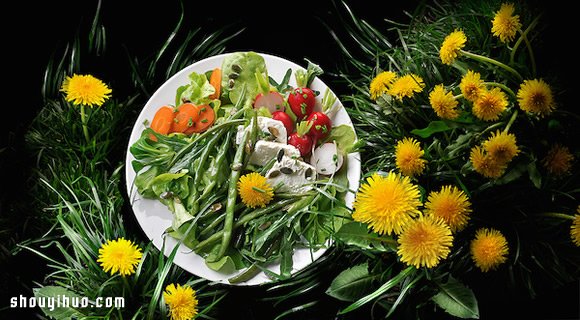 Pnd Futura 超华美食物摄影作品欣赏 -  www.shouyihuo.com