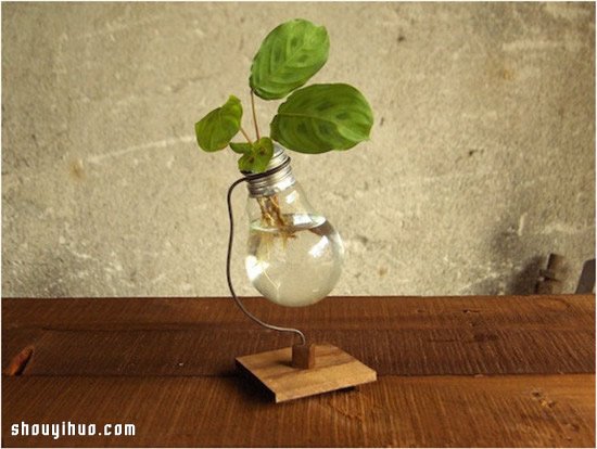 白炽灯泡废物利用手工DIY制作煤油灯花瓶 -  www.shouyihuo.com