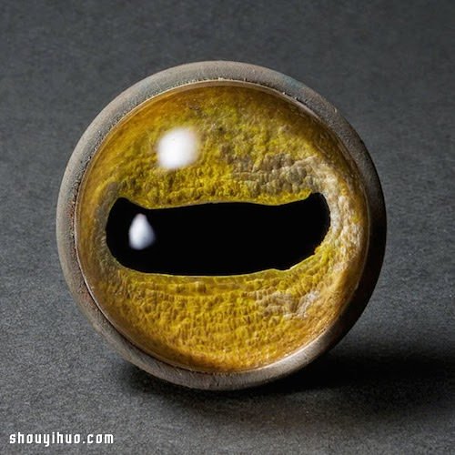 超写实绘画：充满迷幻魅力的立体大眼睛 -  www.shouyihuo.com