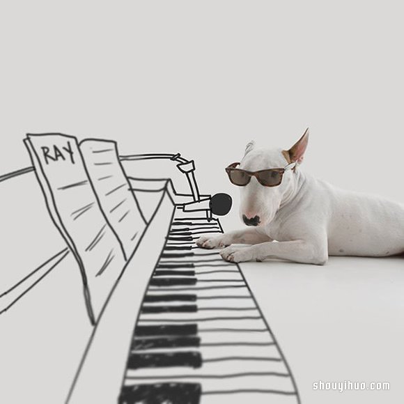 墙上涂鸦：将爱犬化成趣味插画作品 -  www.shouyihuo.com