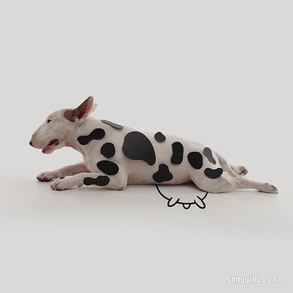 墙上涂鸦：将爱犬化成趣味插画作品 -  www.shouyihuo.com