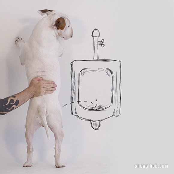 墙上涂鸦：将爱犬化成趣味插画作品 -  www.shouyihuo.com