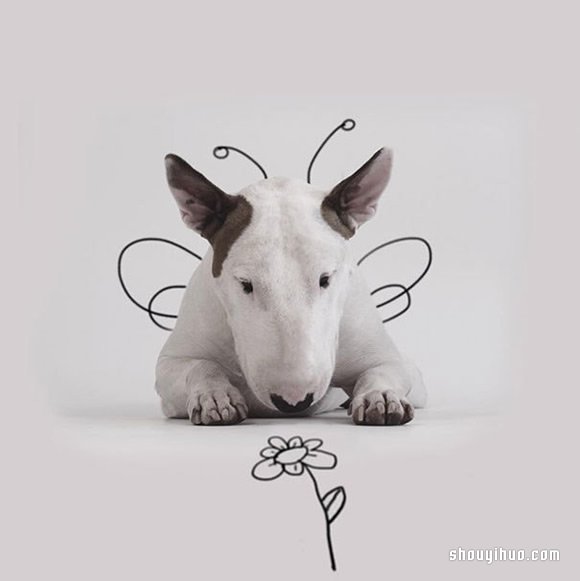 墙上涂鸦：将爱犬化成趣味插画作品 -  www.shouyihuo.com