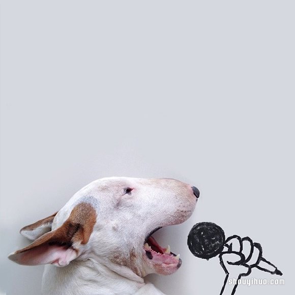 墙上涂鸦：将爱犬化成趣味插画作品 -  www.shouyihuo.com