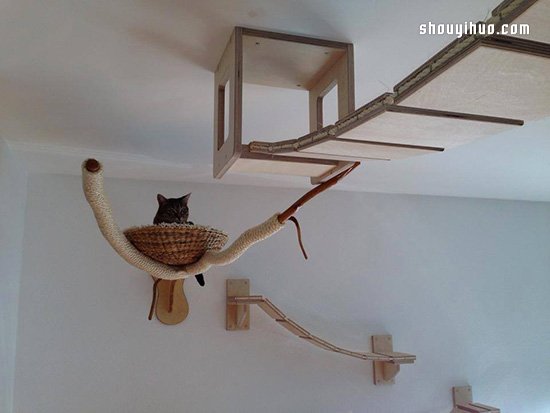 空中乐园般的猫爬架DIY 猫猫大人太幸福了 -  www.shouyihuo.com