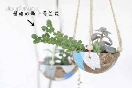 废物利用创意花盆盆栽DIY -  www.shouyihuo.com