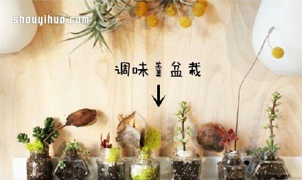 废物利用创意花盆盆栽DIY -  www.shouyihuo.com