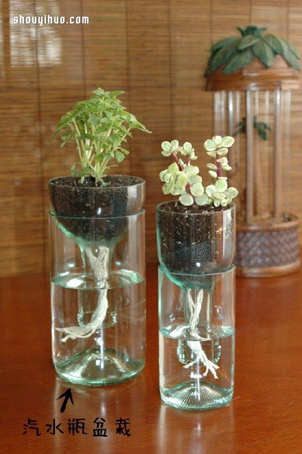 废物利用创意花盆盆栽DIY -  www.shouyihuo.com