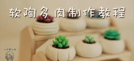软陶多肉植物盆栽DIY手工制作图解教程 -  www.shouyihuo.com